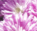 Chalk of Aster