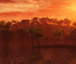 Forest of Orange