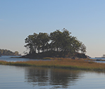 Tree Island 3